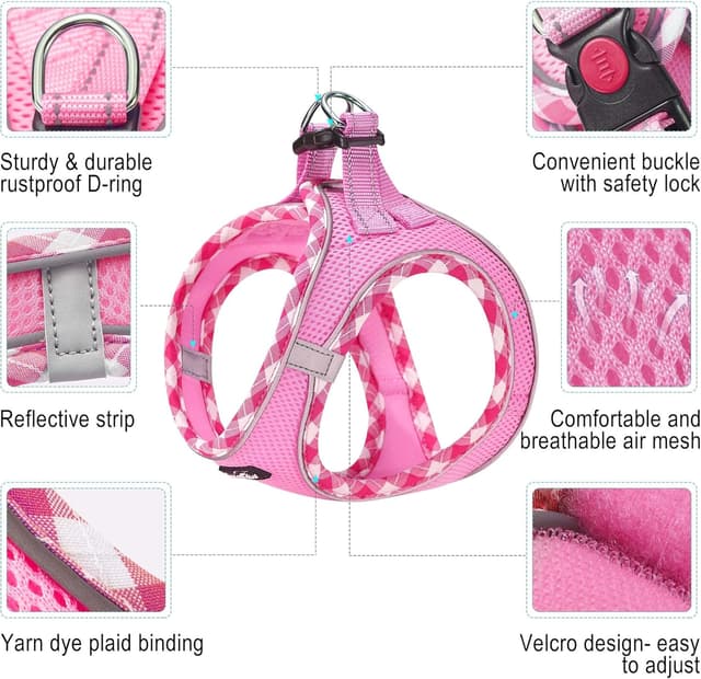 Detalle 2 de haapaw Dog Harness and Lead Set – no-pull adjustable reflective step-in puppy harness (extra-small/small-medium)