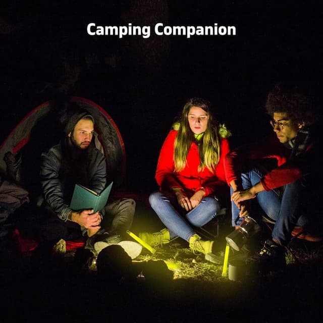 Detalle de Besto 6-inch Glow Sticks (32 Pack) – Ultra Bright Neon UV Glow Sticks for Parties, Festivals & Camping