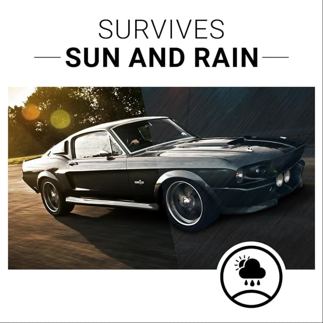 Thumbnail 6 de CAR GUYS Plastic Restorer 8 oz