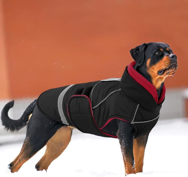 Detalle 2 de CITÉTOILE Hundejacke mit Klettverschluss – reflektierend, Führungsöse & wärmender Kragen (Schwarz, XS)