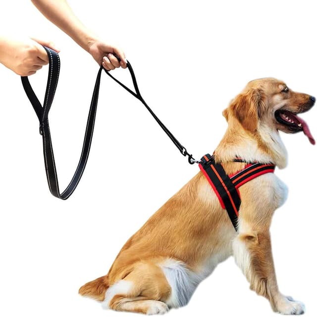 Thumbnail 6 de Eyeleaf Hundeleine mit Doppelgriff, 1,8 m, reflektierend und robust (Nylon) – für große und mittlere Hunde