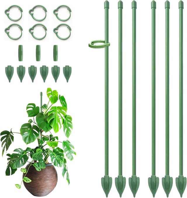 Detalle de RIFNY Plant Supports 30cm for indoor use