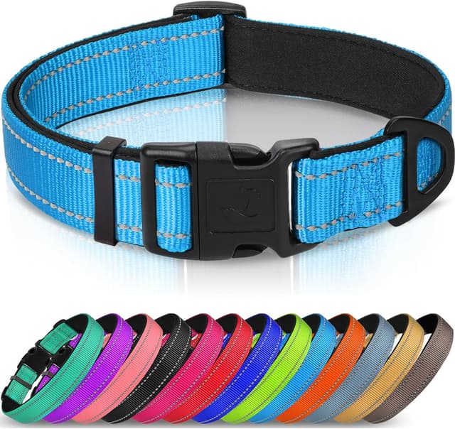 Detalle de Joytale Reflective Dog Collar with Soft Neoprene Padding (Medium, Sky Blue)