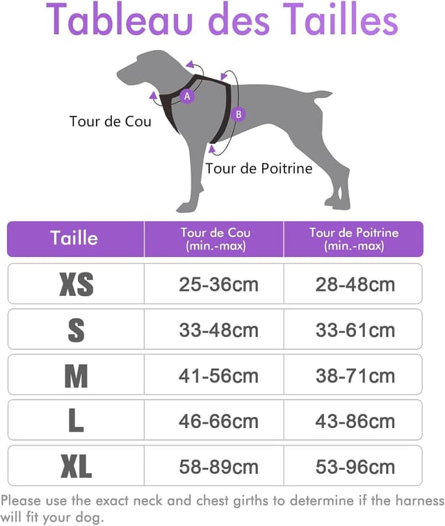 Thumbnail 1 de rabbitgoo Harnais Chien Anti Traction Violet XS