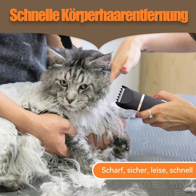 Thumbnail 6 de Bautrium Leise Schermaschine Katze Set