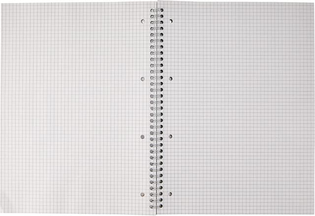 Detalle de Pigna Natur Blumen Spiral-Notizbücher A4 (22 × 29,7 cm) mit 4 Löchern & Mikroperforation