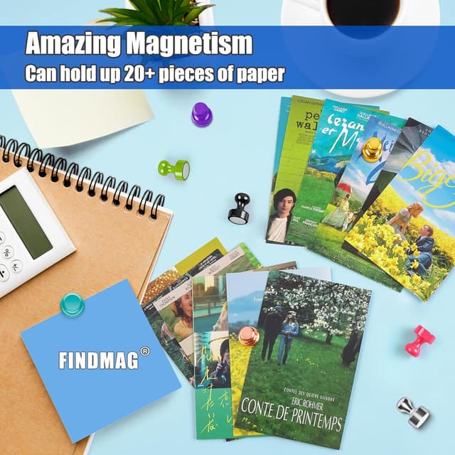 Detalle de FINDMAG 8 Colour Fridge Magnets & Magnetic Push Pins