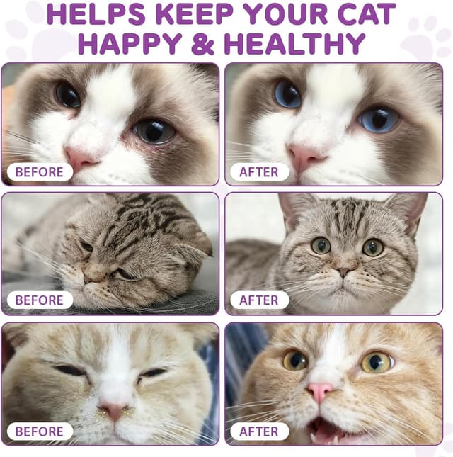 Detalle 1 de L-Lysin Tropfen für Katzen gegen Katzenschnupfen – Unterstützung bei Schnupfen, Niesen & Immunsystem