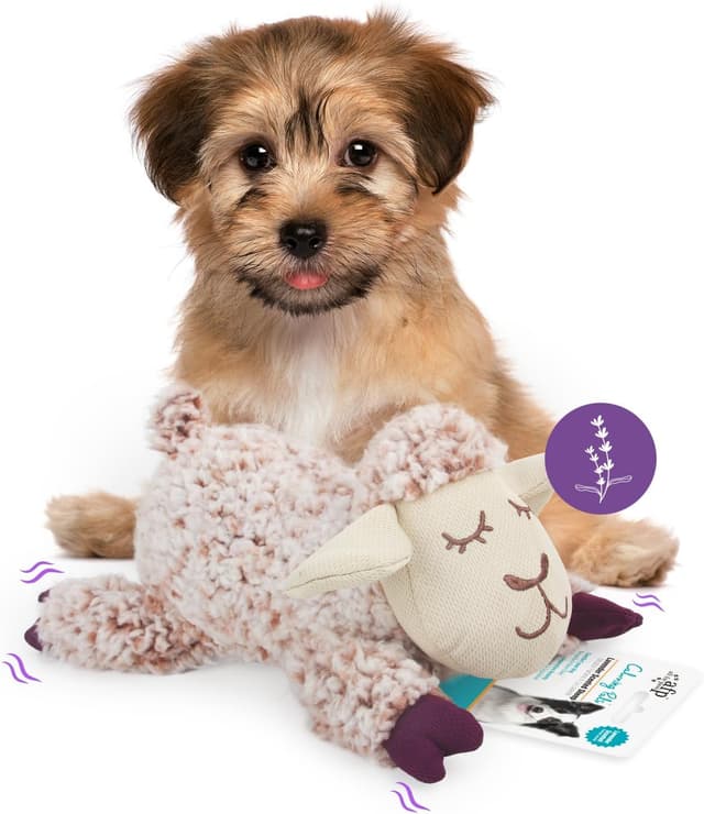 Detalle de Puppy plush snuggle toy with squeaker