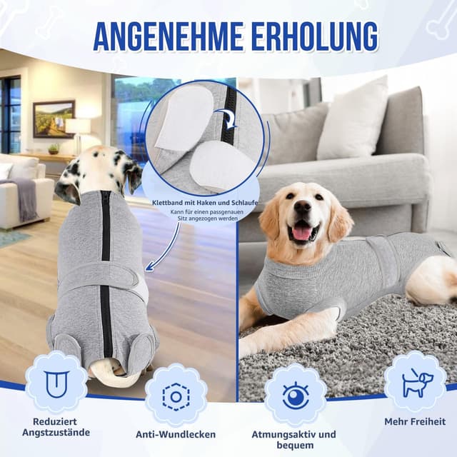 Detalle de Eyein Hundebody nach OP als Wundschutzanzug für Hunde mit Reißverschluss & Klett Gürtel (Grau, M)