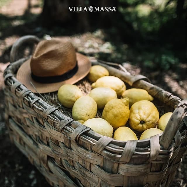 Thumbnail 5 de Villa Massa Limoncello 🍋 Licor Italiano de Sorrento 500ml