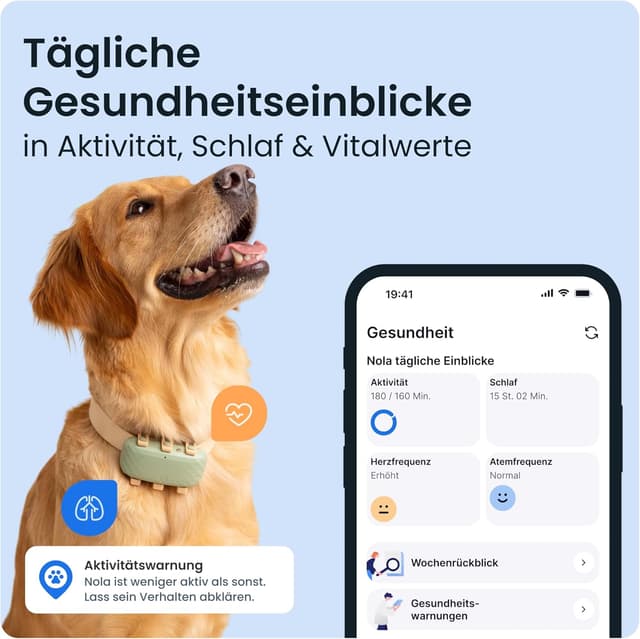 Detalle de Tractive XL GPS Tracker für Hunde 1 Monat Akku