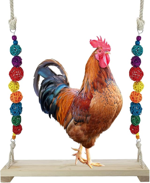Imagen de QIODAZOO Chicken Swing Perch 39.5cm 🐓 en OfertitasTOP