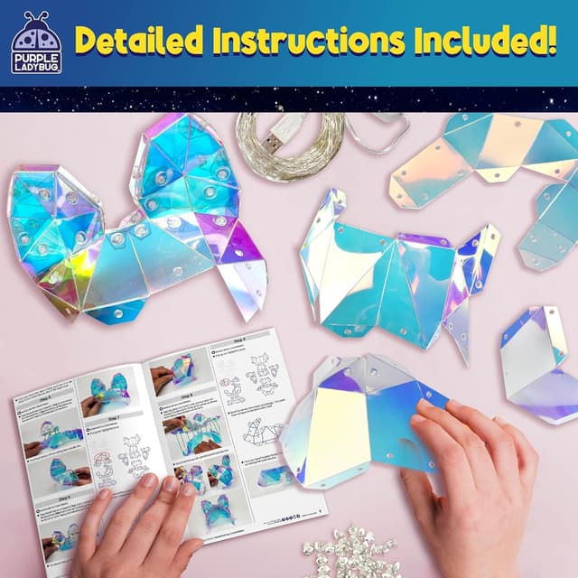 Detalle de Purple Ladybug Prismic make-your-own 3D light-up dog lantern DIY craft kit (USB powered)
