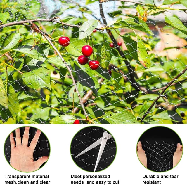 Detalle de Lovesmile Katzenschutznetz 3x10 m Vogelschutznetz, engmaschig (Maschenweite 2,5 x 2,5 cm), reißfest & wiederverwendbar, ohne Bohren (weiß)