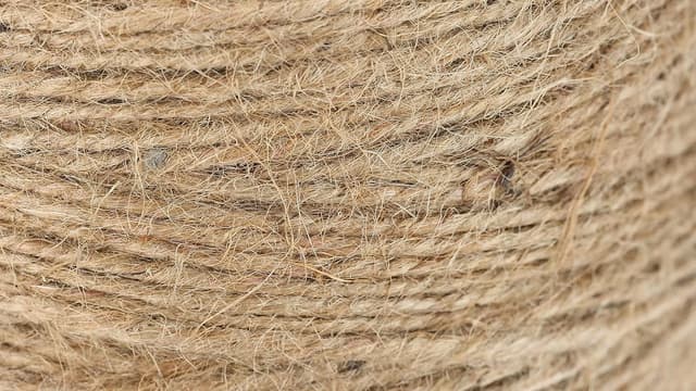 Thumbnail 2 de Rayher 4200331 Cuerda de Yute Natural, 3.5mm, 280m