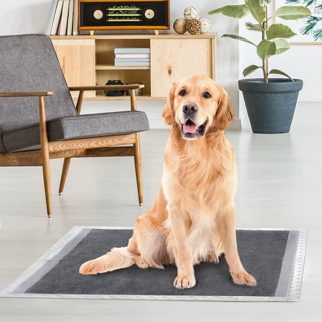 Detalle de Record Hygienematten Absorbipiù Einweg-Hundeschläfer mit Aktivkohle (60x90 cm) – extra saugfähig, geruchsdicht, 30 Stück