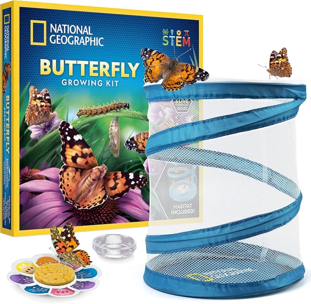 Detalle de National Geographic Butterfly Growing Kit with 5 caterpillars ๐๐ฆ