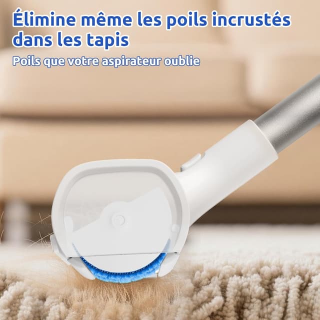Detalle de ACE2ACE Brosse Tapis anti-poils pour tapis et carpettes, manche réglable jusqu’à 1,5 m (bleu)