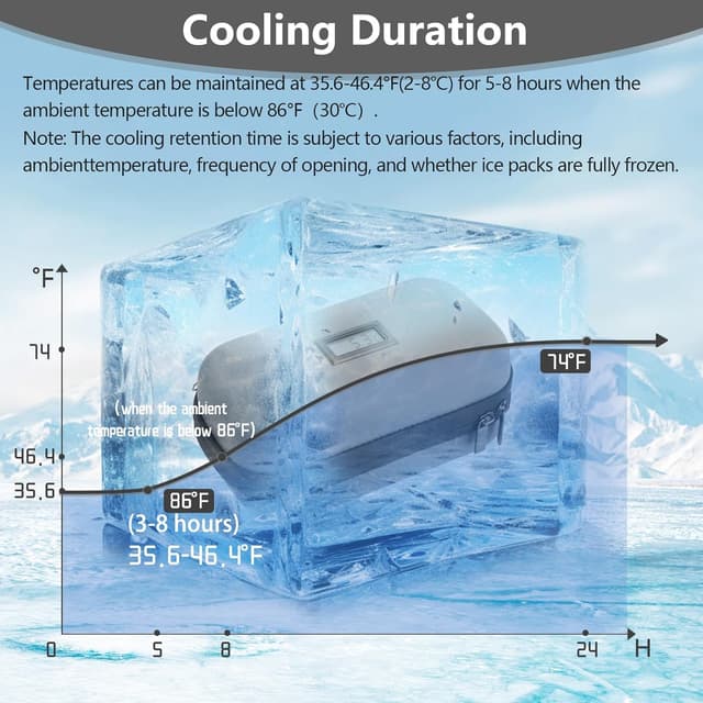 Detalle de HIMDUZE Insulin-Kühltasche & Reisekoffer mit Temperaturanzeige, TSA-zugelassen – inkl. 2 wiederverwendbarer Kühlakkus