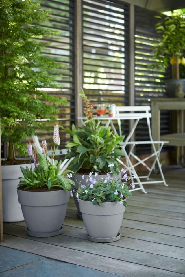 Thumbnail 6 de Elho Vibia Campana Round 30 🌿 Macetero Exterior Gris