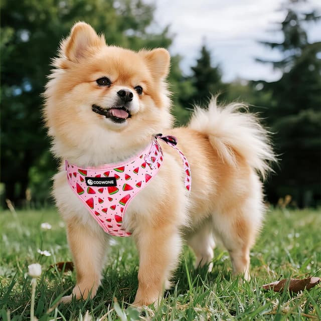 Detalle 2 de COOWONE Welpengeschirr mit Leine Set – weiches Mesh-Hundegeschirr für kleine Hunde ohne Ziehen