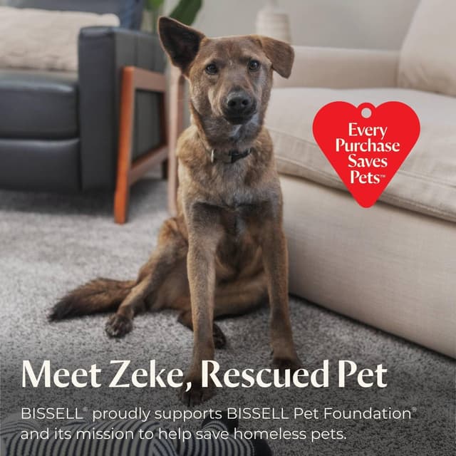 Thumbnail 5 de Bissell 3774F Pet Hair Eraser Turbo Lift-Off Vacuum