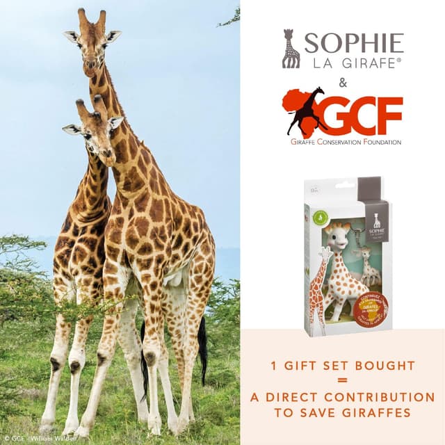 Thumbnail 1 de Sophie la girafe Cofanetto GCF