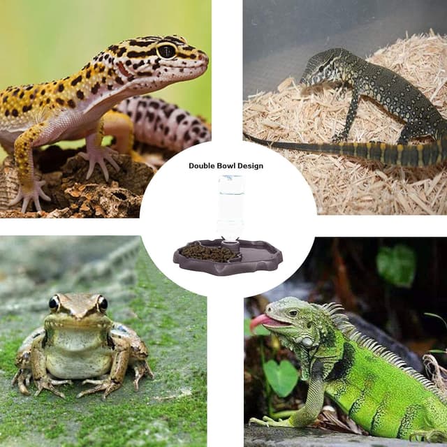 Thumbnail 5 de QIODAZOO Näpfe für Reptilien 200 ml 🐢
