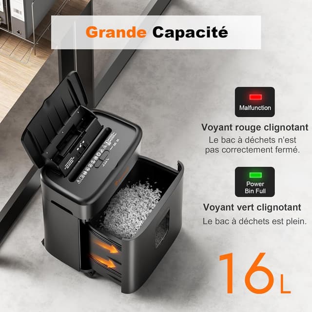 Detalle 1 de Bonsaii C231-D destructeur documents P4