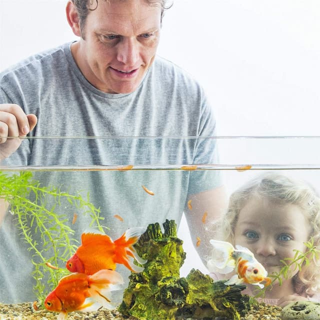 Thumbnail 6 de Nobleza Crevettes Tortue 120g 🐢