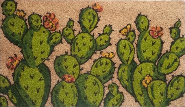 Thumbnail 2 de Baroni Home Zerbino Cocco 70x40 cm 🌵