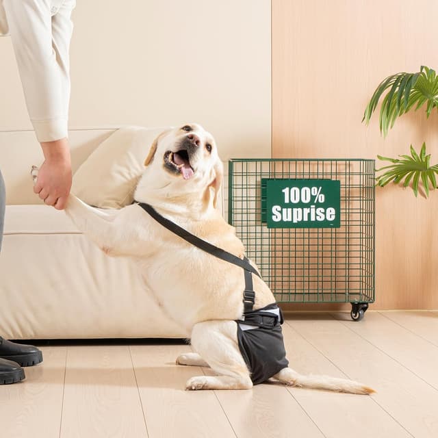 Thumbnail 6 de Avont 3er-Set wiederverwendbare Hundewindeln (schwarz) – waschbar, hochsaugfähig, mit Klettverschluss