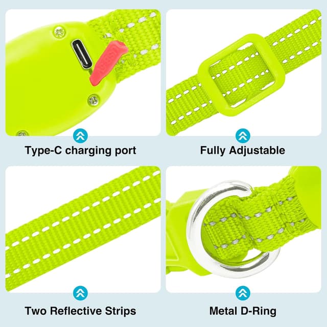 Detalle de KOSKILL Leuchthalsband für Hund, wiederaufladbar per USB, wasserdicht – Grün (S)