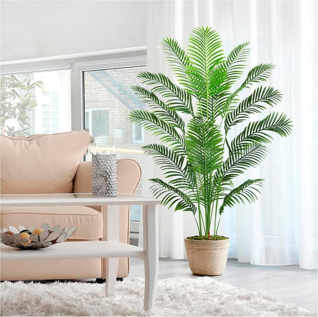 Imagen de Palmier Arnusa 180cm en pot en OfertitasTOP