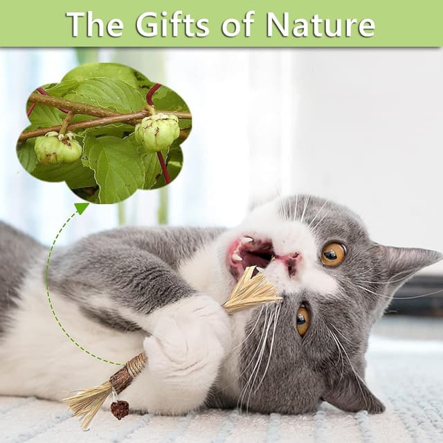 Thumbnail 4 de 21‑Piece Catnip Toys for Cats