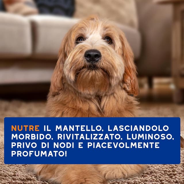 Thumbnail 6 de DOUXO Skin & Coat SPA 340 ml spray districante