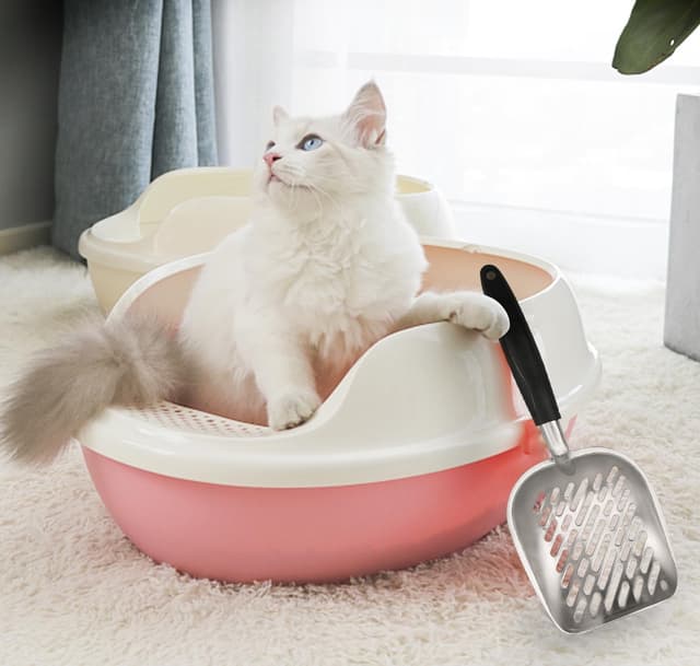 Detalle 2 de Katzenstreu Schaufel Set 4 Stück Grün