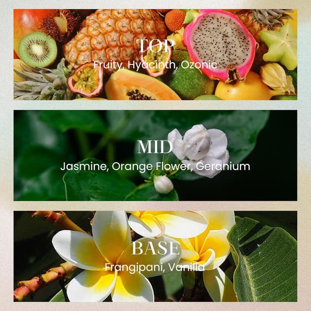 Detalle 2 de M&SENSE Luxury Large Reed Diffuser 300ml – Jasmine Garland, 7-Stick Scent with Natural Essential Oils