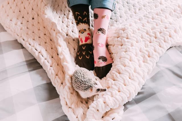 Detalle de Dedoles Socken Unisex (Damen, Herren & Kinder) aus Baumwoll-Mix mit lustigen Designs – links/rechts unterschiedlich