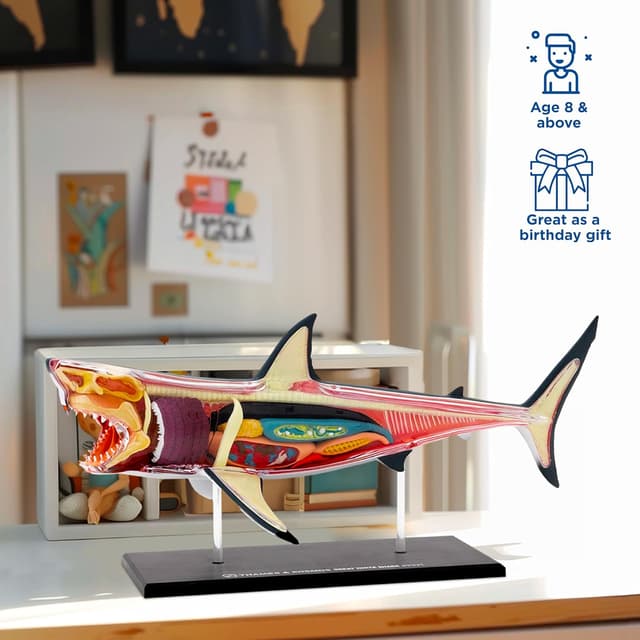 Thumbnail 1 de Thames and Kosmos Great White Shark Anatomy Model 20pc