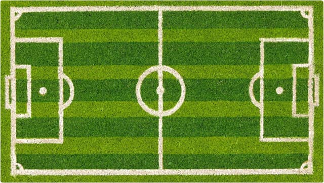 Detalle 2 de Zerbino Baroni Home in cocco 70x40 cm