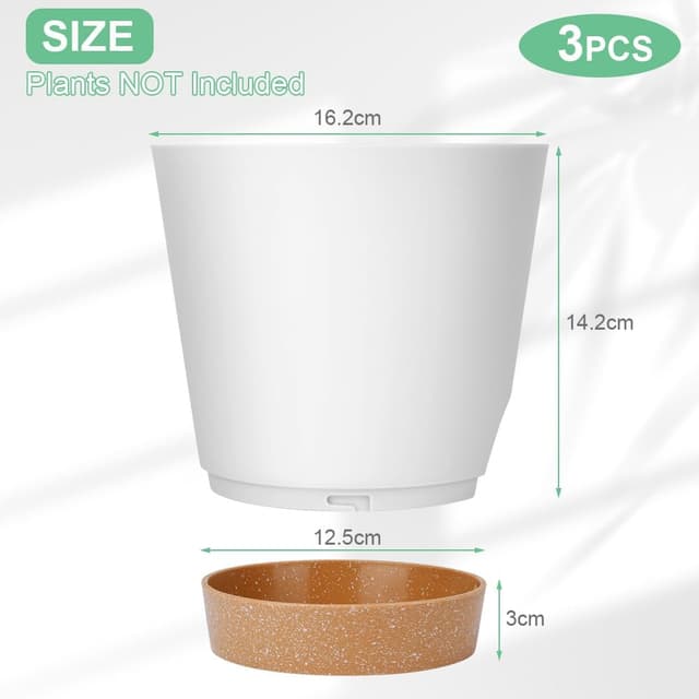 Detalle 2 de OFFCUP Vasi Autoirriganti 16,5cm