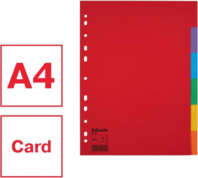 Detalle 2 de Esselte Register für A4 20er Pack