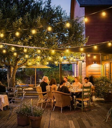 Thumbnail 6 de SAEIHGAE guirnalda de luces exterior LED 20 m con bombillas G40, IP44 e iluminación ampliable