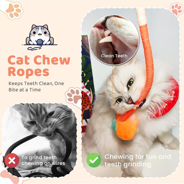 Thumbnail 3 de winbarry Cat Toys catnip chew toy for kittens 🐱