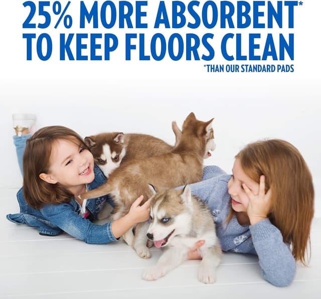 Thumbnail 2 de OUT! Allez ici Coussinets absorbants 53x55 cm