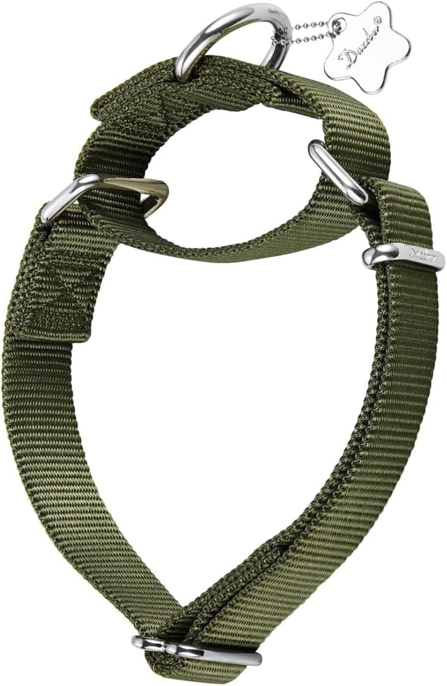 Thumbnail 5 de Dazzber Martingale Dog Collar 43-64 cm