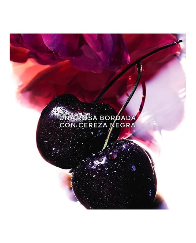 Thumbnail 4 de Guerlain Estuche Eau de Parfum Intensela Petite Robe Noire