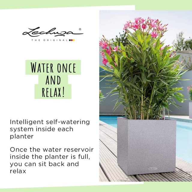 Thumbnail 4 de Lechuza Cube Triple Rosso 13672